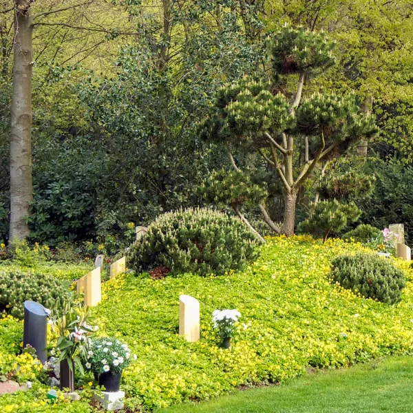 Blick auf gepflegte Gräberfelder mit Blumen, Bäumen und Grabsteinen auf dem Friedhof.